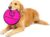 Hyper Pet Flippy Flopper Dog Frisbee Interactive Dog Toys [Flying Disc Fetch Toy Floats in Water & Safe on Teeth] (Colors Will Vary), Multicolor, 9″