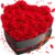 16-Piece Preserved Rose Birthday Gifts for Women, Eternal Rose Preserved Flowers for Delivery Prime Mothers’ Day, Valentine’s Day, Christmas, Birthday – Red Roses