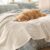 Bedsure ComfyFleece™ Waterproof Dog Blankets for Large Dogs – Soft Pet Cat Blanket Corduroy Fleece for Bed Protector Washable, Cozy Calming Reversible Furniture Protection,60″x80″, Cream