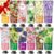 12 Pack Hand Cream for Dry Cracked Hands,Easter Basket Stuffers,Mothers Day Gifts,Teacher Appreciation Gifts,Natural Hand Lotion Travel Size,Mini Lotion Gifts for Nurse Teacher