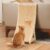PETKARAY Curved Cat Scratcher, Sisal Kitty Scratching Ramp, L Shape Scratch Pad for Indoor Cats, 25.6″ Furniture Protector with Mouse Toy