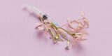 RFK Jr. Wants to Un-ban 14 Peptides. What Doctors Want You to Know