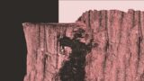 Oh God, There’s Something Called a “Collagen Cliff”