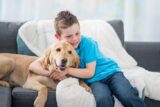 What to Do When Your Dog Is Lost: The First 48 Hours