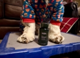 Rooted Owl Natural Supplements Review: What Pet Parents Should Know