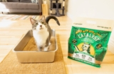 Catalyst Pet Natural Cat Litter Review: Is This Eco-Friendly Soft Wood Litter Worth the Switch?