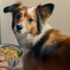 YouTube Wants Your Help Identifying AI Slop on Its Platform
