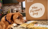 The Farmer’s Dog Review: Pros, Cons & Real Results (2026)