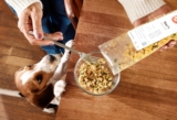 Ollie vs Farmer’s Dog: Which Fresh Dog Food Is Better? (2026)
