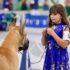 Everything You Need to Know About Radiation Therapy for Dogs – American Kennel Club